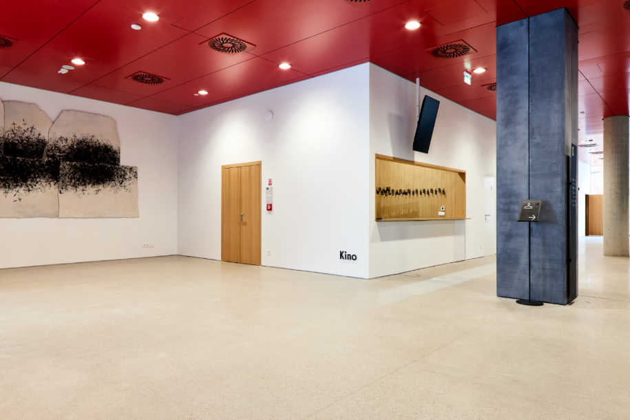 Bratislava kino